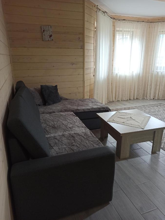 Brand New 2020 Specious Apartment Druzi 2 Poljanytsja Eksteriør bilde